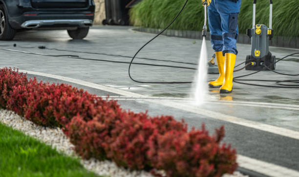 Best Building Exterior Washing  in White Oak, TX